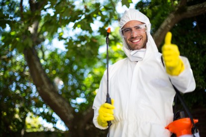 Pest Control in Tadworth, Kingswood, Mogador, KT20. Call Now 020 8166 9746